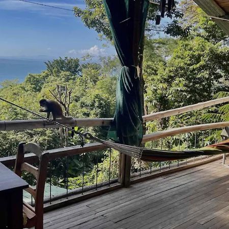 Beautiful Rustic Treehouse Hotel Manuel Antonio Quepos Buitenkant foto