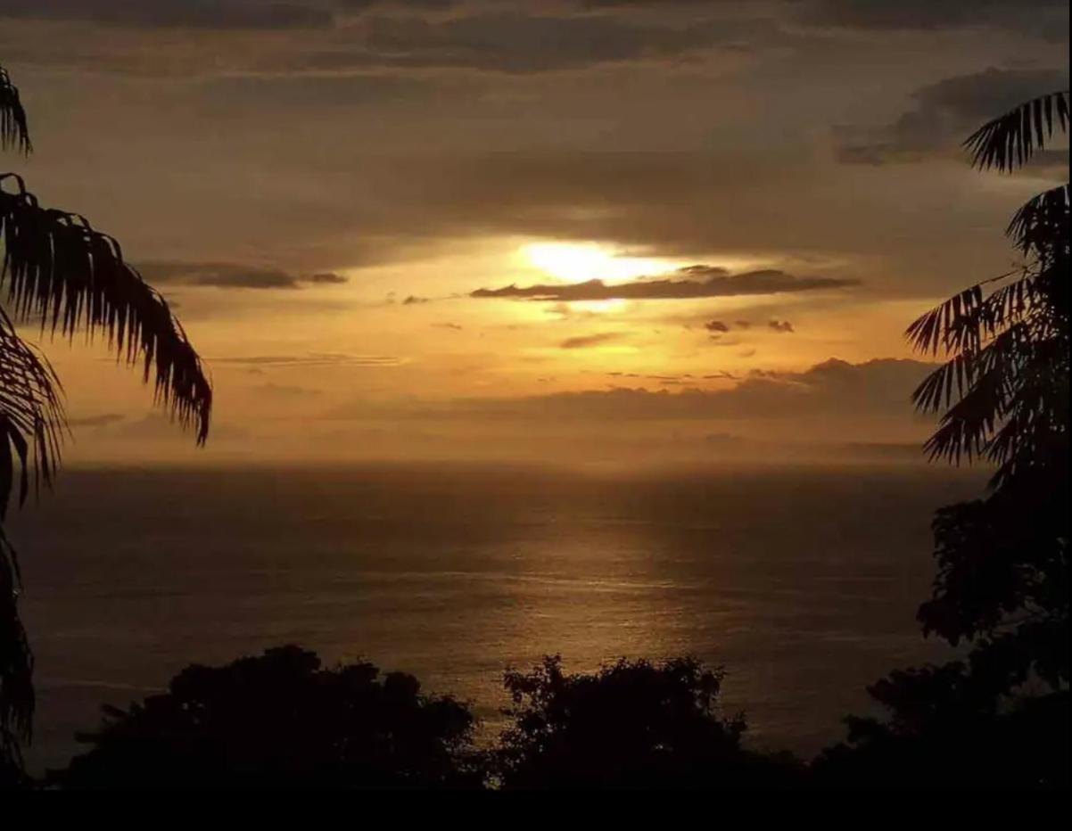 Beautiful Rustic Treehouse Hotel Manuel Antonio Quepos Buitenkant foto